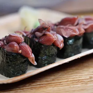 Firefly Squid Special