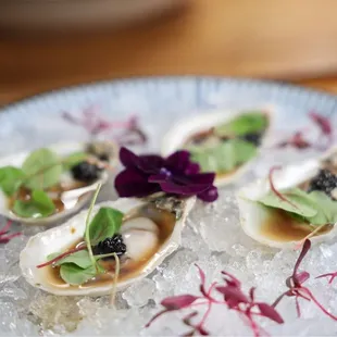 Oyster Special