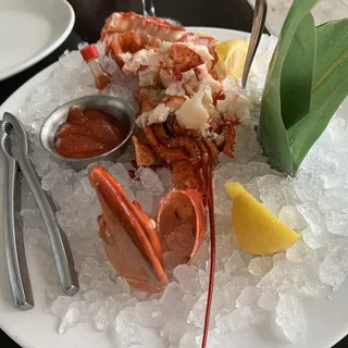 Maine Lobster Cocktail