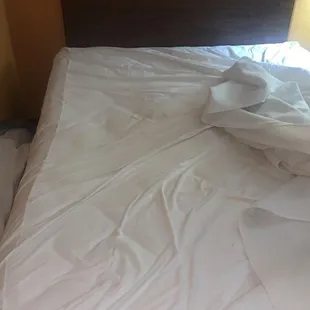Bed stained in what appears to be urine