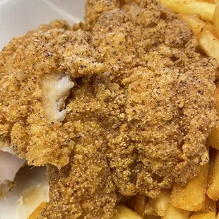 Delicious Fried 2 Piece Fish (Catfish) with Cajun Fries (F1)