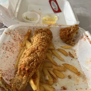 Fried 2 Piece Fish with Cajun Fries (F1) with spicy seasoning on top.