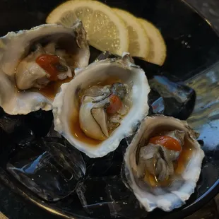 Oysters