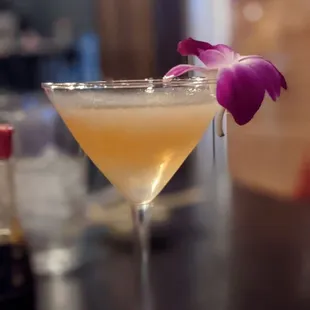 a cocktail in a martini glass