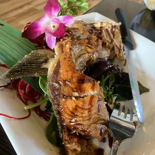 Yellowtail Collar