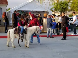Gallardos Pony Rides and Petting Zoo