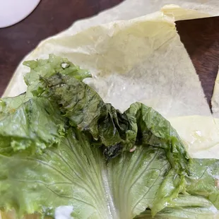 Old moldy lettuce
