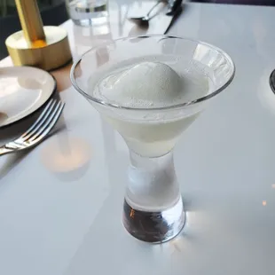 Palate cleanser... homemade sorbet and prosecco