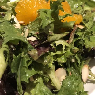 Mixed Green Salad