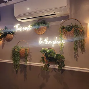 This is indeed the place for the locals! Fun deco by the spacious bar area. Go see Cat!