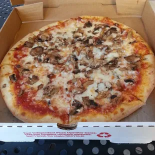 9&quot; mushroom and sausage pizza