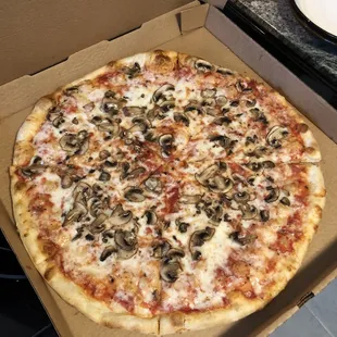 Mushroom pizza