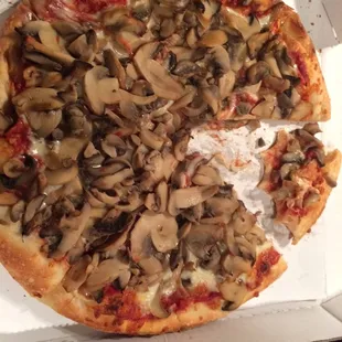 The best double mushroom pizza on the planet!