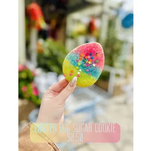 a hand holding a sugar cookie with sprinkles