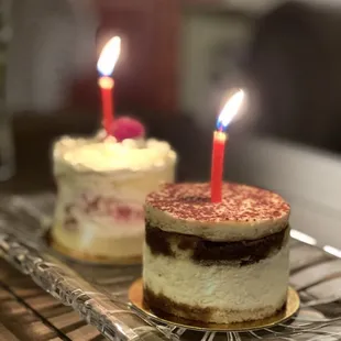 Tiramisu cake