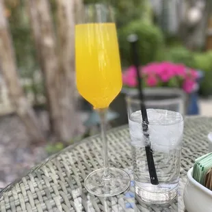 Mimosa