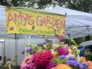 Amy's Garden