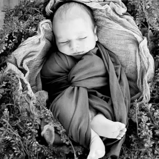 Newborn Sessions