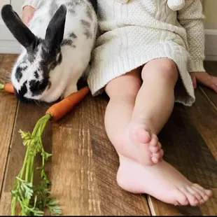 Sessions with animals