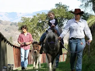 Fits Your Fancy Ponies