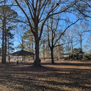 Playground and shelter