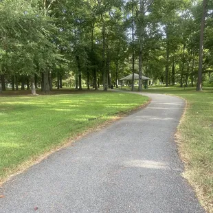Path as you walk into the park