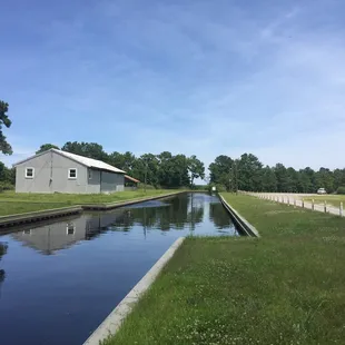 Princess Anne Wildlife Management Area