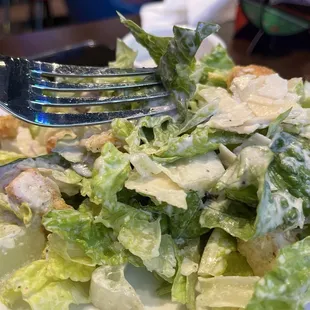 Caesar Salad