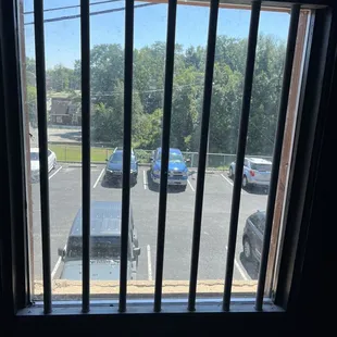 Looking out the back