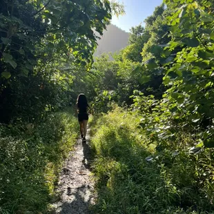 An early morning treck through the jungle to find a hidden waterfall!