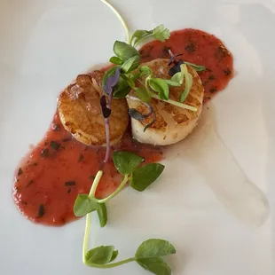 Scallops