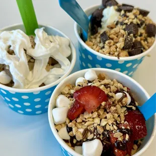 05.01.24 froyo x3