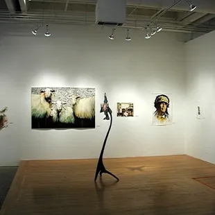 NOTE: I didn't take this photo, I found it on the internet!