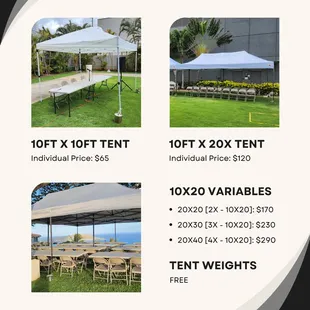 Our Catalog