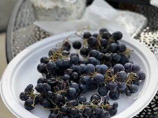 Papagni Wines