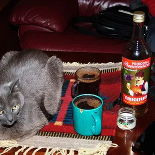 Dobrodosli svima! Pozdrav iz matcka Siva, i Pametnjakovic.