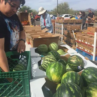 Take your own vegetable toting vessel if you can- otherwise they will scrounge up a box for you