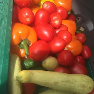 vegetables in a bin