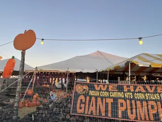 Brian & Kelly's Pumpkins, Trees & Farmer's Market