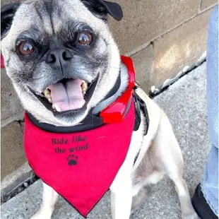 A big smile for Jessica &amp; Loretta.  Thanks for delivering it to our home, Loretta.  Great service.