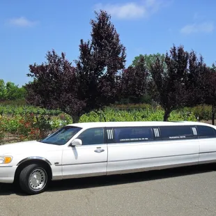 Napa Valley Wine Tours