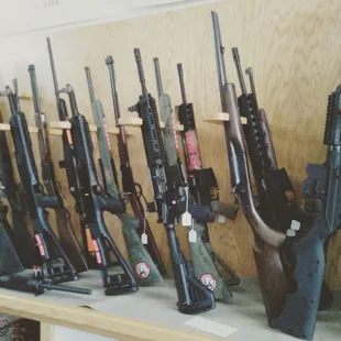 Professional Firearms