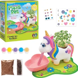 Professor Toy Fresno, CA