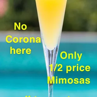 1/2 price mimosas! All day! Everyday!