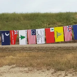 Celebrating our heritage...saving our future!
