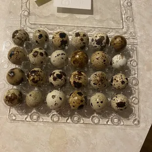 Quail eggs