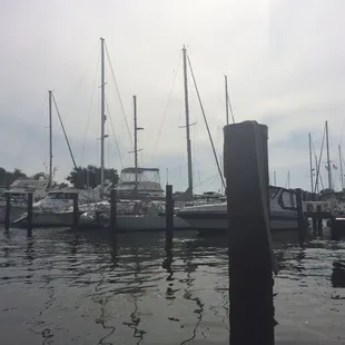 Someday I will own one of these sailboats