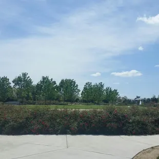 Well maintained  park