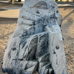 Awesome rock climbing wall!