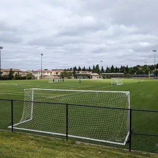 Many sports fields